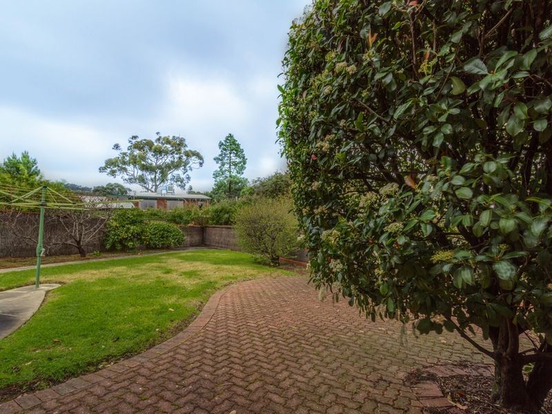 18 Birksgate Drive, Urrbrae SA 5064