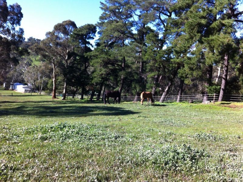 445 Cherry Gardens Road, Cherry Gardens SA 5157