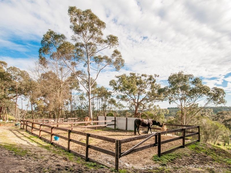 445 Cherry Gardens Road, Cherry Gardens SA 5157