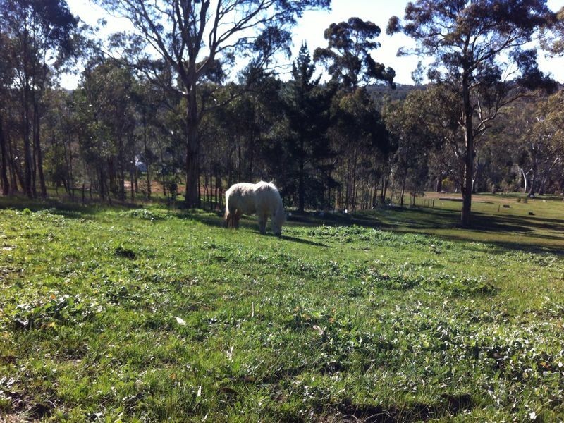 445 Cherry Gardens Road, Cherry Gardens SA 5157