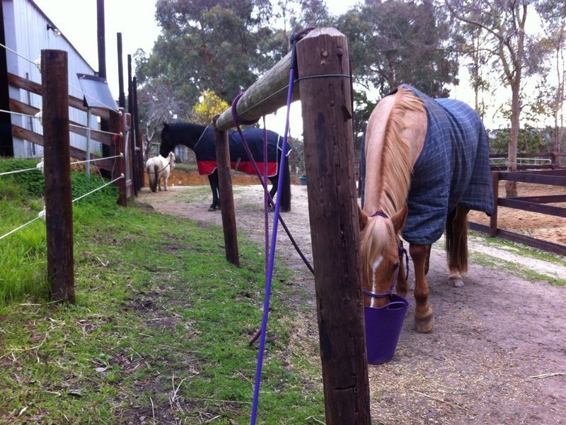 445 Cherry Gardens Road, Cherry Gardens SA 5157