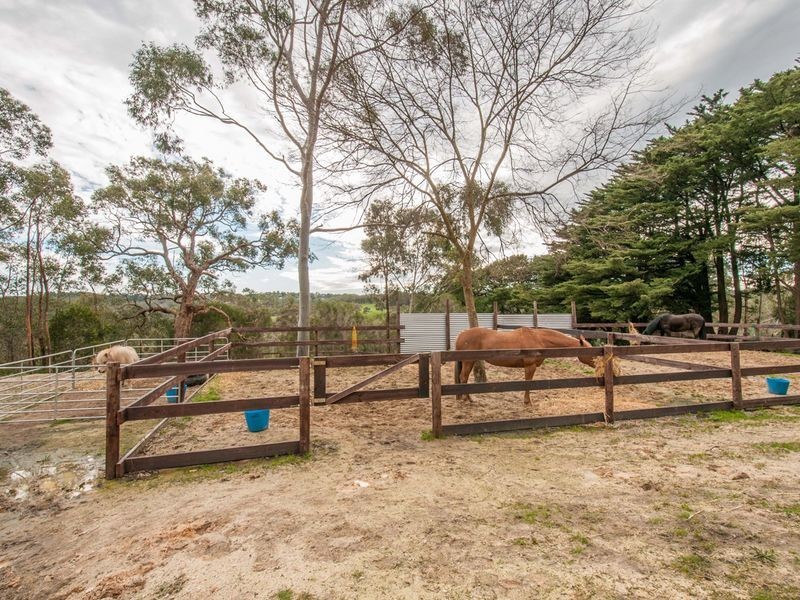 445 Cherry Gardens Road, Cherry Gardens SA 5157