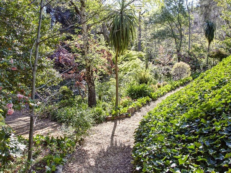 50 Birch Road, Stirling SA 5152