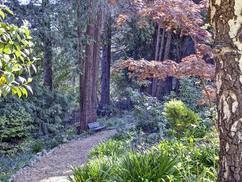 50 Birch Road, Stirling SA 5152