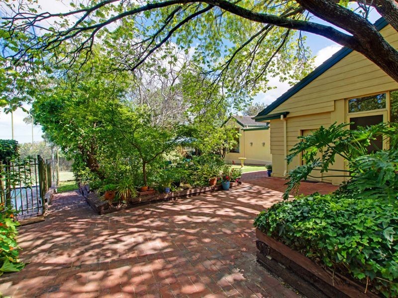 19 Katoomba Road, Beaumont SA 5066