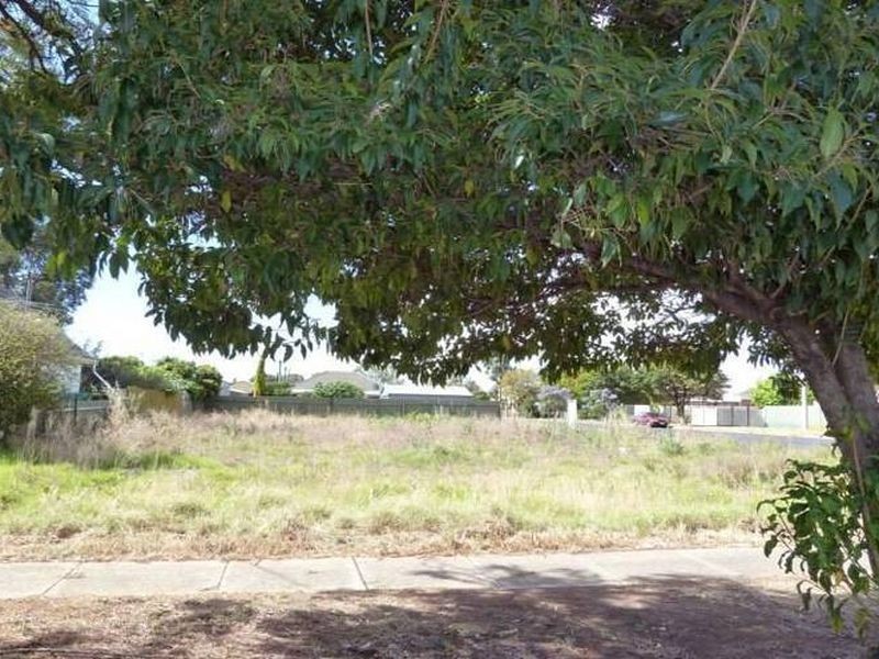 35 Central Avenue, Magill SA 5072