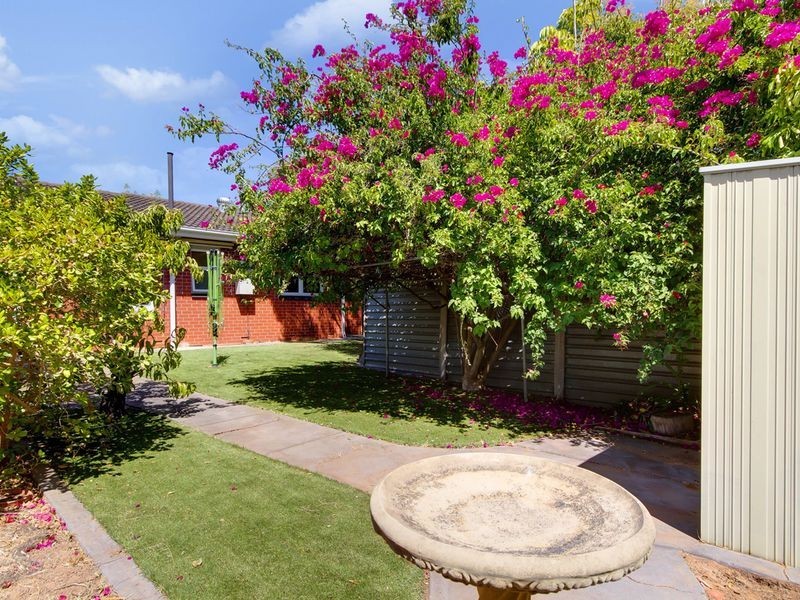 8/21 Jessie Road, Kensington Park SA 5068