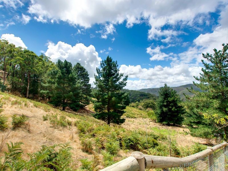 45 Cherryville Road, Cherryville SA 5134