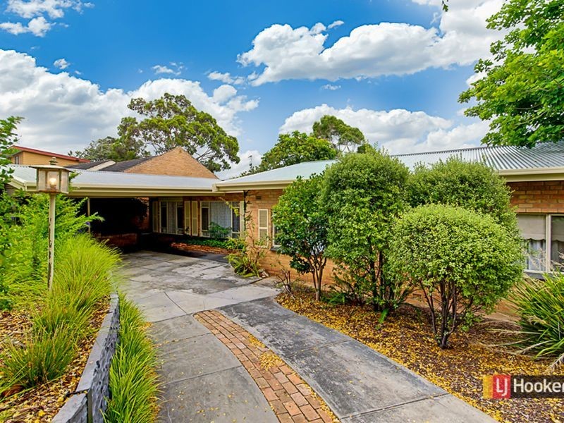 11 Armson Avenue, Magill SA 5072