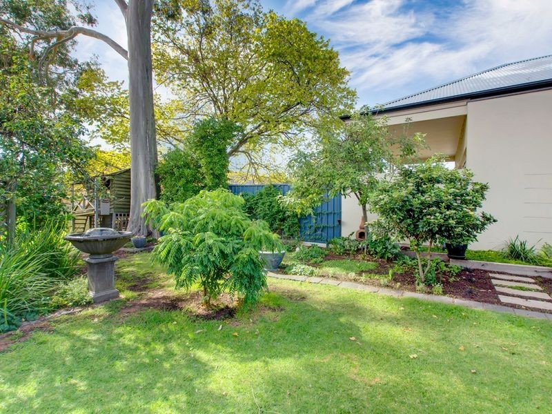 229 Beulah Road, Beulah Park SA 5067