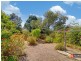 20 Melrose Avenue, Beulah Park SA 5067
