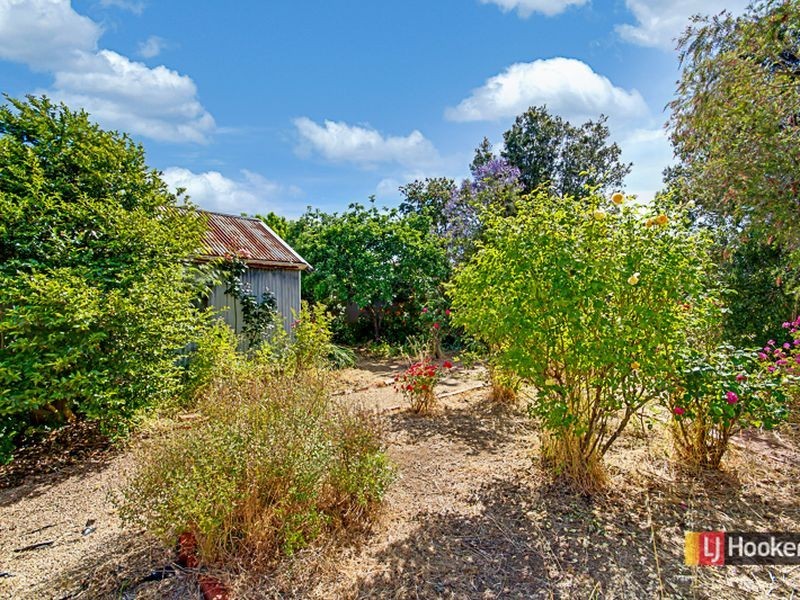 20 Melrose Avenue, Beulah Park SA 5067