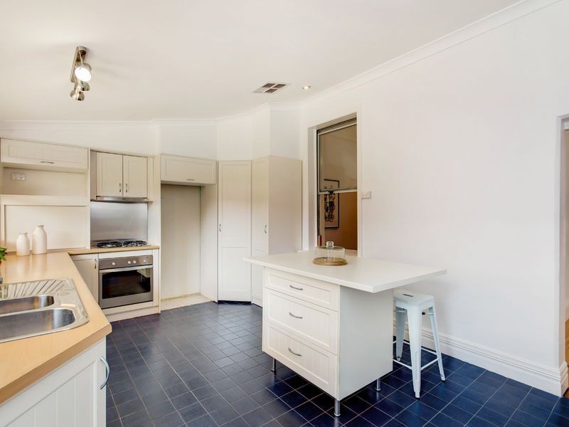 29 Castle Street, Parkside SA 5063