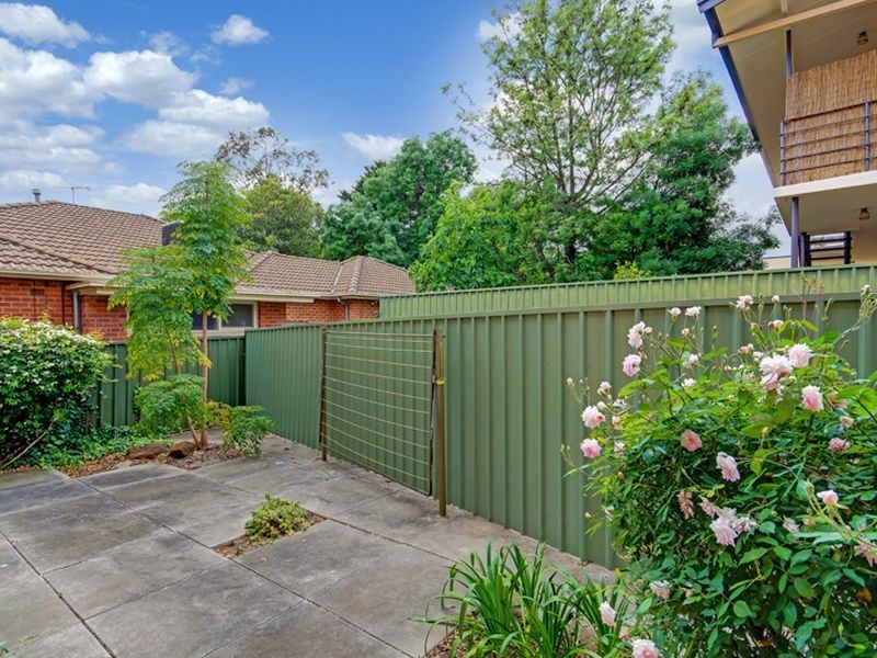 1/2 Brook Avenue, Glen Osmond SA 5064