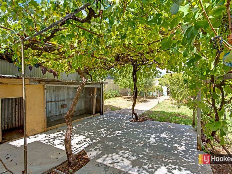 42 Koongarra Avenue, Magill SA 5072