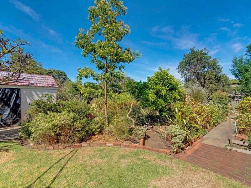 48 Mellor Avenue, Lockleys SA 5032