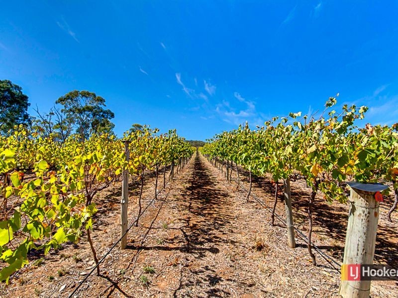 63 Stonyfell Road, Stonyfell SA 5066