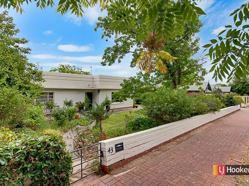 43 Hyland Terrace, Rosslyn Park SA 5072