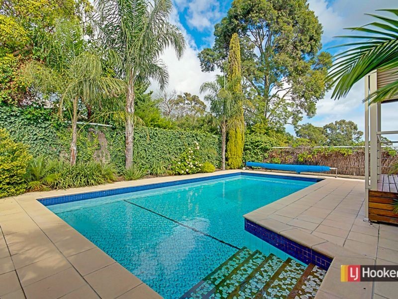 8 Mcglasson Avenue, Magill SA 5072