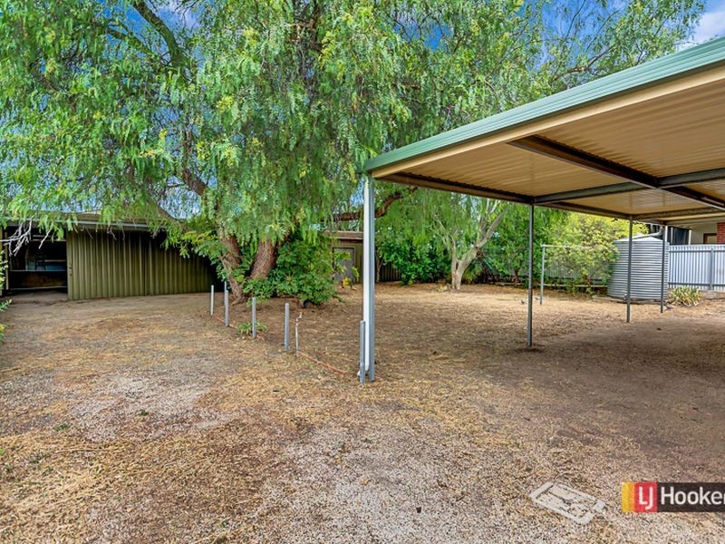 31 Canterbury Avenue, Trinity Gardens SA 5068