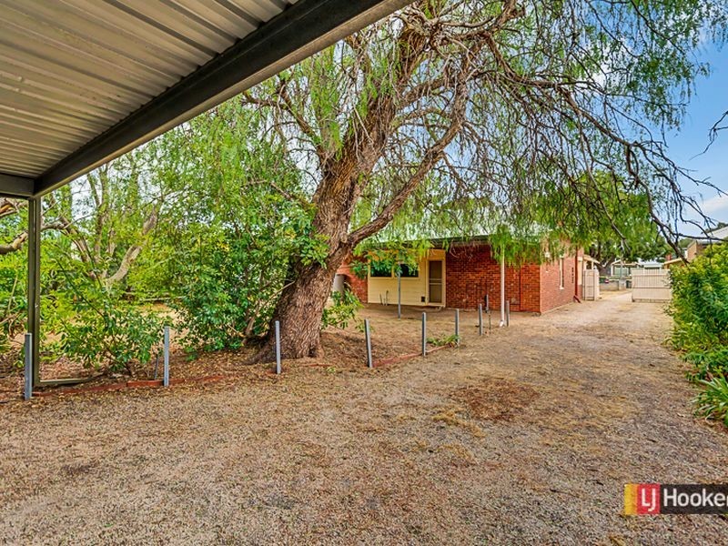 31 Canterbury Avenue, Trinity Gardens SA 5068