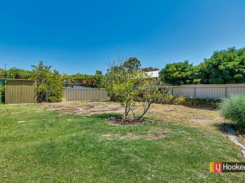 52 Forest Avenue, Newton SA 5074