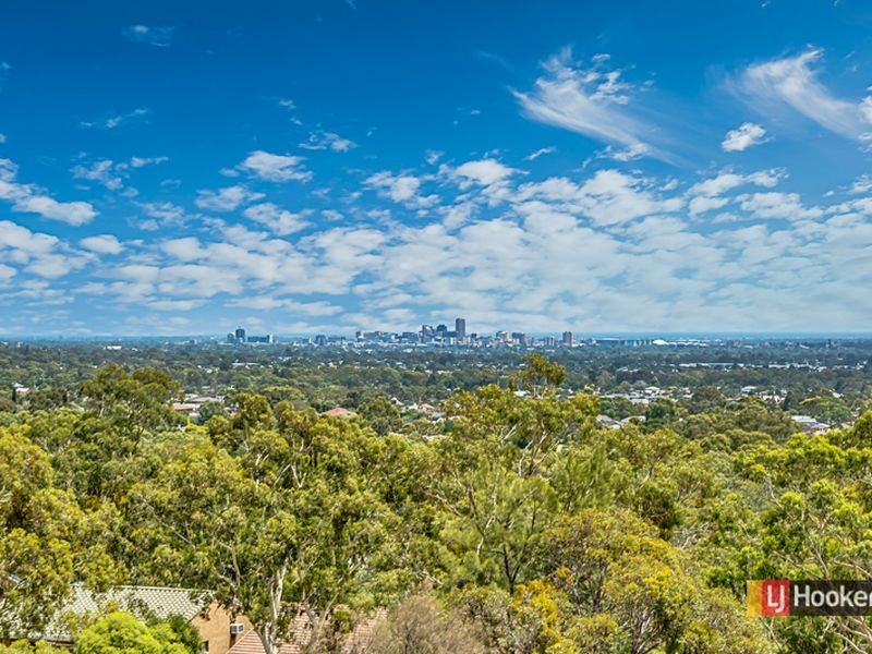 14 Grevillea Avenue, Athelstone SA 5076