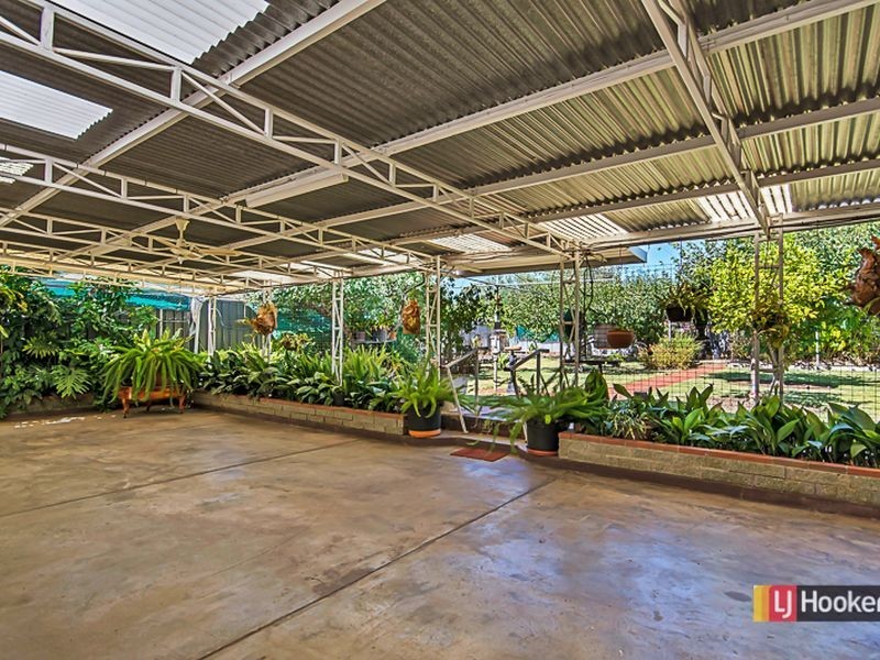 7 Harrison Street, Magill SA 5072