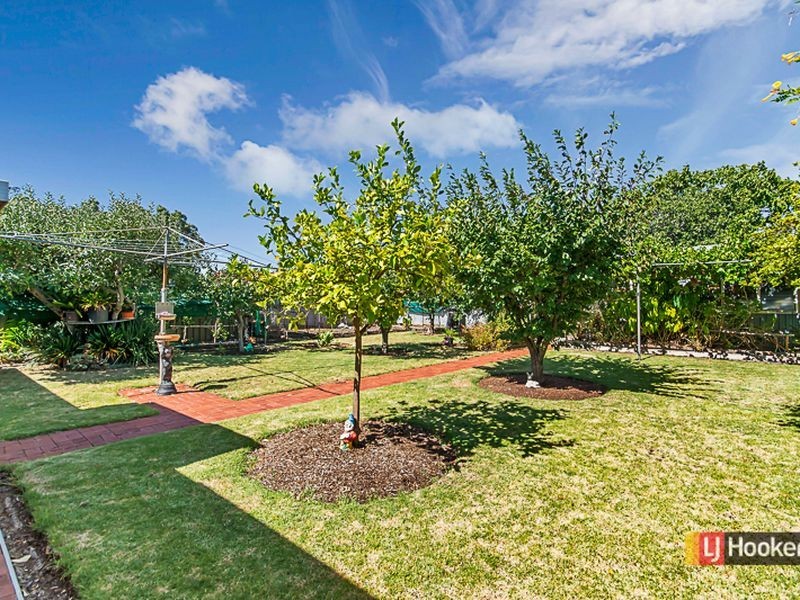 7 Harrison Street, Magill SA 5072