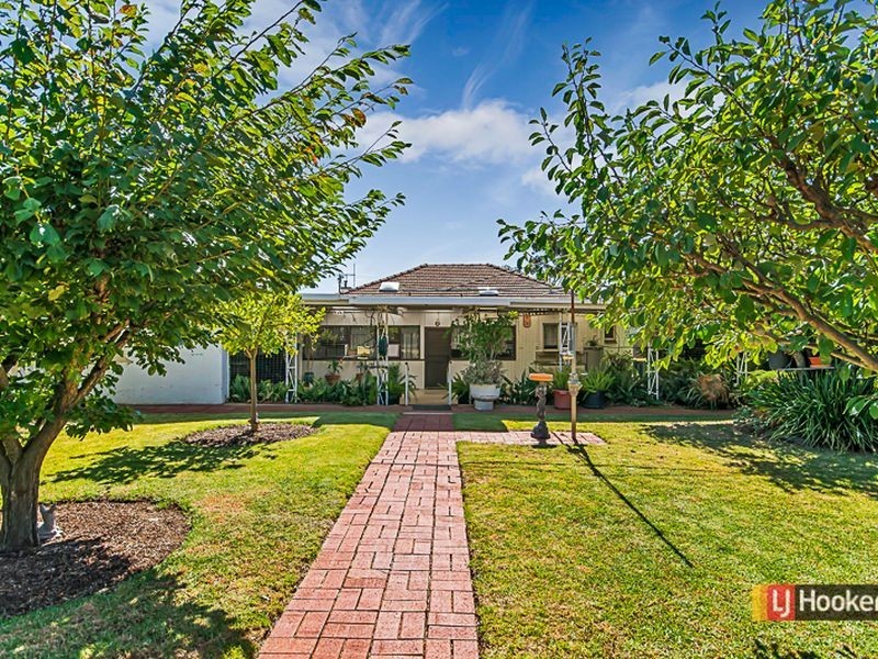 7 Harrison Street, Magill SA 5072