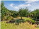 7 Harrison Street, Magill SA 5072