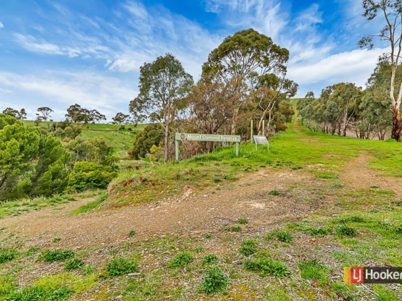 20 Bayview Crescent, Beaumont SA 5066