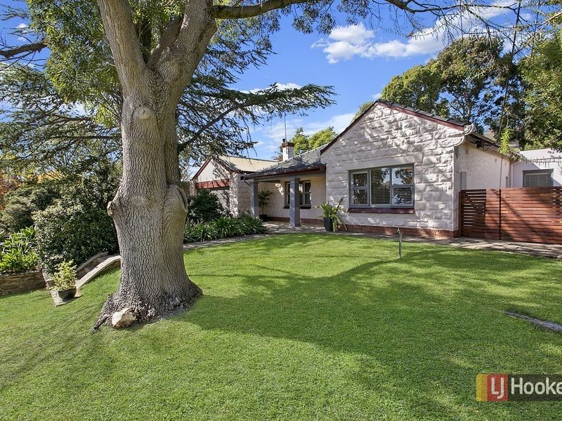 11 Tennant Street, Torrens Park SA 5062