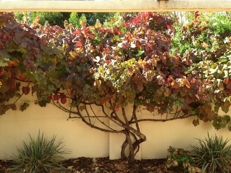 28A Dudley Road, Marryatville SA 5068