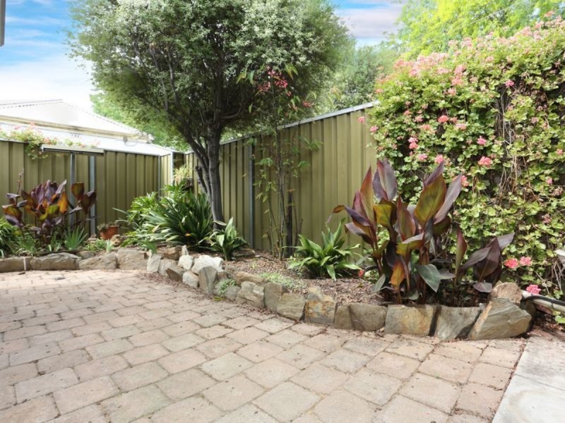 5 Wall Street, Norwood SA 5067