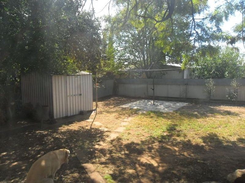 49 Hallett Ave, Tranmere SA 5073