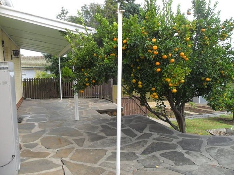 15 Romalo Ave, Magill SA 5072