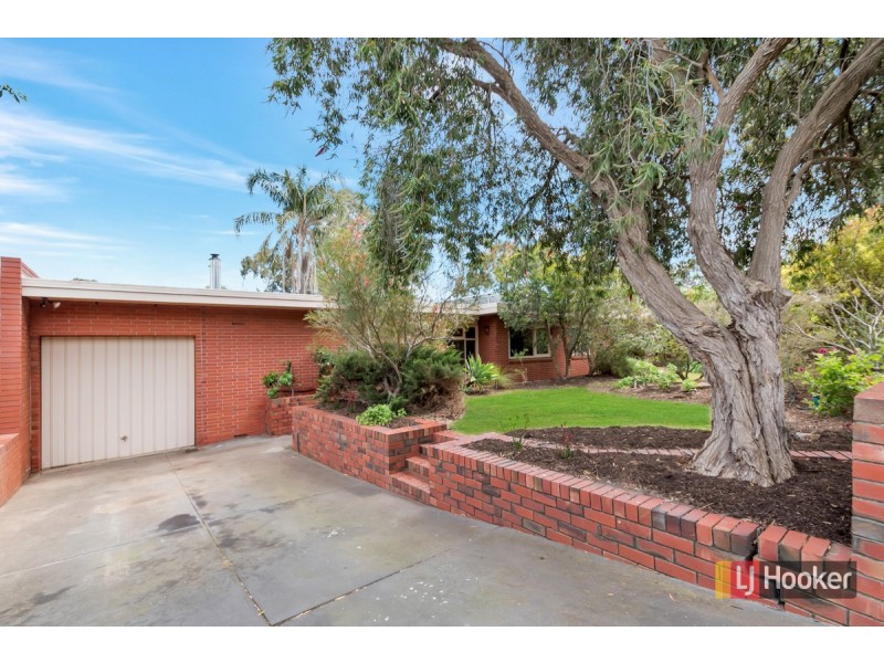 24 Waitara Road, Banksia Park SA 5091