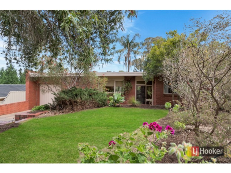 24 Waitara Road, Banksia Park SA 5091