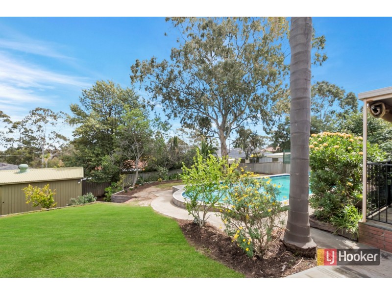 24 Waitara Road, Banksia Park SA 5091