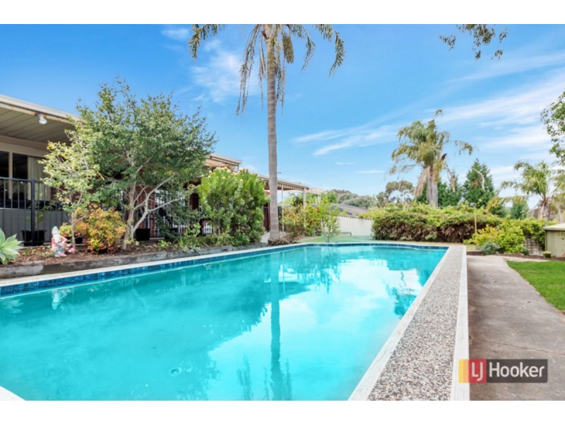 24 Waitara Road, Banksia Park SA 5091