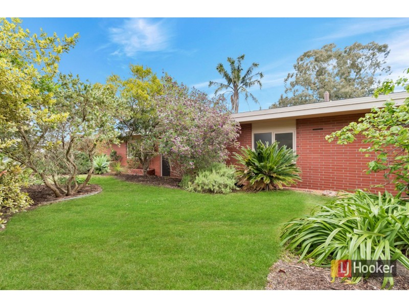 24 Waitara Road, Banksia Park SA 5091
