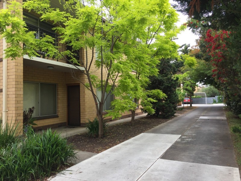 3/42 Le Hunte Street, Wayville SA 5034