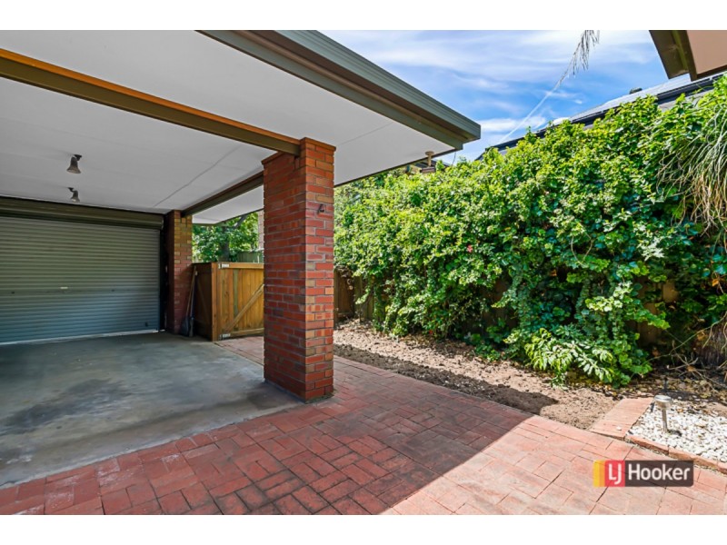 17B Brigalow Avenue, Kensington Gardens SA 5068