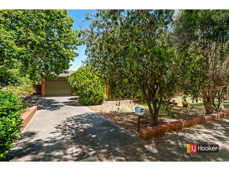 17B Brigalow Avenue, Kensington Gardens SA 5068