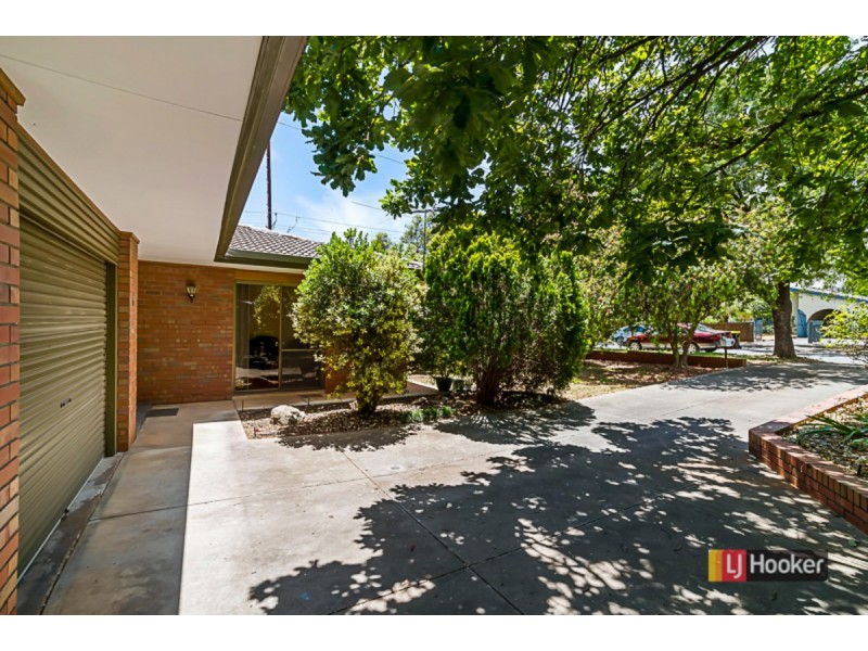 17B Brigalow Avenue, Kensington Gardens SA 5068