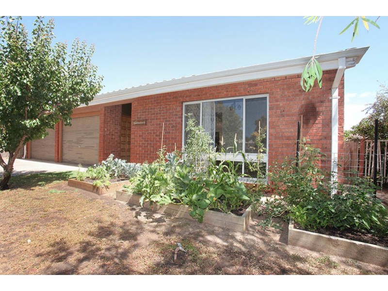 13 Randolph Avenue, Fullarton SA 5063
