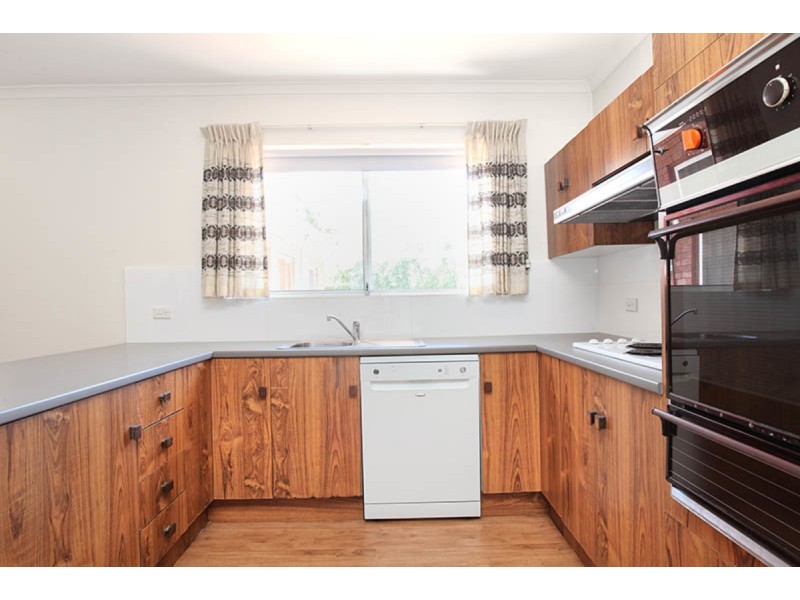 13 Randolph Avenue, Fullarton SA 5063