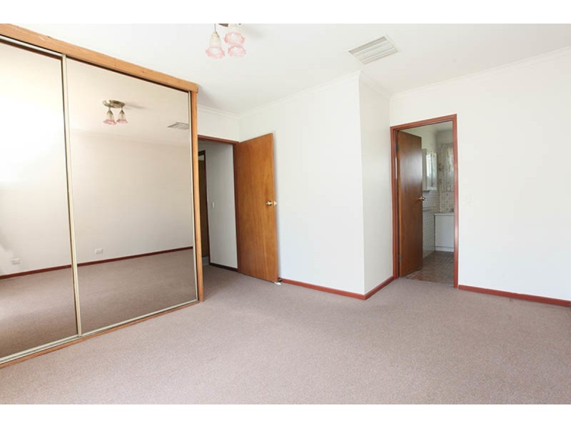 13 Randolph Avenue, Fullarton SA 5063