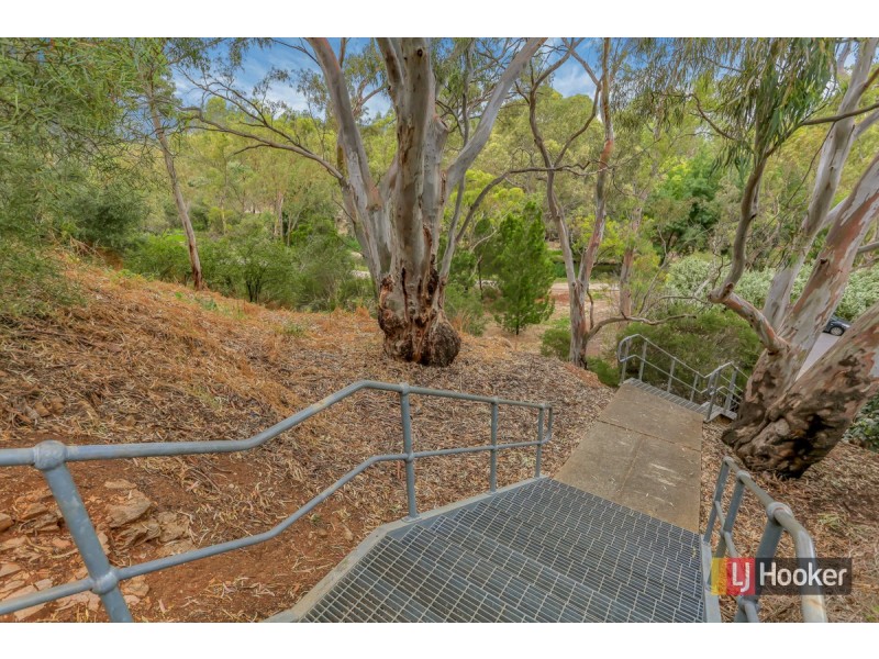 18 Sassafras Drive, Highbury SA 5089